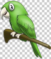 Dallas (now open) houston (fall 2021) work with us hai hospitality gift cards. Loro Png Images Loro Clipart Free Download