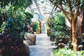 Plants To Grow In Brisbane During Autumn Calibre Real Estate