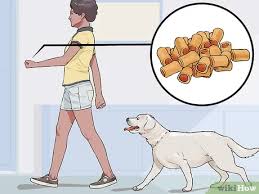 And it is likely to become distressed. 3 Ways To Get Your Dog To Follow You Wikihow