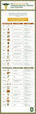 Common Medical Prefixes And Postfixes My Son Would Love This Medical Terminology Medical Terms Nursing School