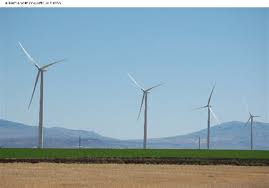 Leaves on the wind by radio rental, released 15 july 2019 walking by the riverside, willows hanging down. New Riga Ordinance Doesn T Leave Space For Divisive Wind Turbines The Blade