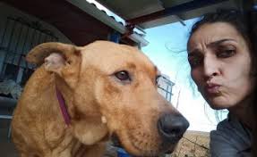 Clínica Veterinaria Huellas de Barros, Villafranca de los Barros: Opiniones  y contacto