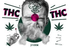 🥇 How Can I Increase The Potency Of My Marijuana?