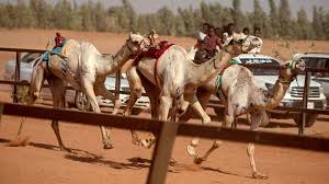 After sitting on the beach in dubai for some time and many failed attempts, we finally caught one. Africa S Week In Pictures 19 25 March 2021 Bbc News