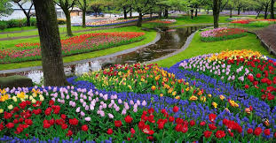 Lihat ide lainnya tentang taman indah, taman, desain taman. Foto Pemandangan Taman Bunga Yang Indah 5 Taman Bunga Di Belanda Yang Paling Indah Dan Mempesona Enaknya 16 Taman Bunga Bunga Tulip Taman Bunga Kebun Bunga