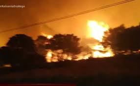 Πυρκαγιά σε δασική έκταση στο σχινό κορινθίας eurokinissi. T Pht3zj7ucom