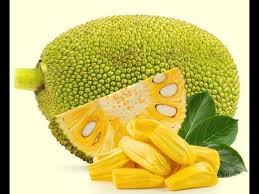Image result for Artocarpus heterophyllus