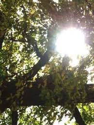 Mit der klimatabelle finden sie immer die beste reisezeit für den lago maggiore Wetter In Der Schweiz Im Oktober 2014 Proplanta De