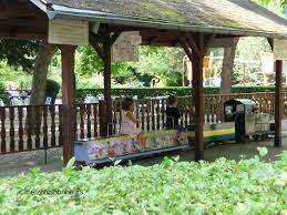 Un P Tit Coin D Ombre Svp Metz P Tits Bonheurs