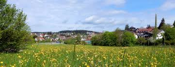 Maybe you would like to learn more about one of these? Gemeinde Waldachtal Startseite