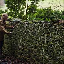 Training Roses Creatively A New Approach To Rose Training Gardens Illustrated Free Standing Sculpture Rose Train