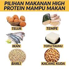 We did not find results for: Coach Azu Pilihan Makanan High Protein Mampu Makan Tak Semestinya Sumber Protein Yg Di Perlu Untuk Kita Berdiet Yg Mahal Banyak Je Pilihan Yg Mampu Kita Beli Lihat Contoh Yg
