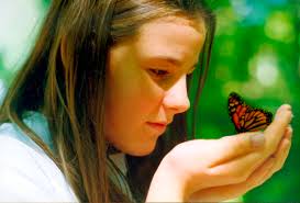 Donations sought for Barb's Purple Bench Project