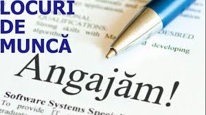 Agentie turism baia mare, transport persoane baia mare, inchirieri autocare, bilete avion, excursii, vacante, circuite turistice. Locuri De Munca Baia Mare Facebook