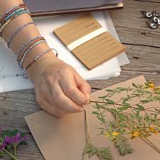 Die 5 Wichtigsten Tipps Zum Pressen Von Pflanzen In 2020 Herbarium Vorlage Pflanzen Tipps