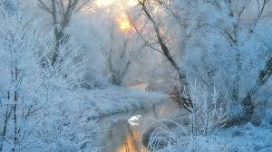 Winter Frost Winter Frost Branches Photography Widescreen And Hd Backgrou Kostenlose Wallpaper Hintergrunde Hintergrundbilder Winter Fotografien Hintergrunde ✓ free for commercial use ✓ high quality images. winter frost branches photography