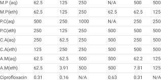 Image result for Menisorus pauciflorus