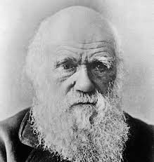 The Plan to Replace God