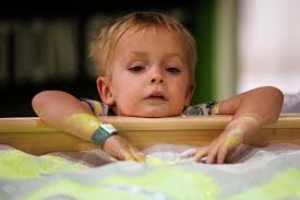 PHOTOS: Grand opening of the Indiana Dinosaur Museum in South Bend