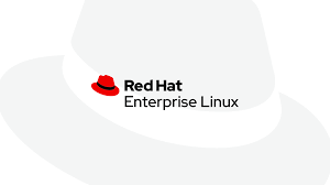 Das Red Hat Enterprise Linux Betriebssystem