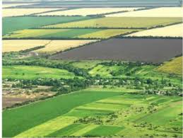 17/2014 a instituit o procedură derogatorie de la dispoziţiile art. Au Fost Modificate CondiÅ£iile De Vanzare A Terenurilor Agricole Situate In Extravilan Ziarul Prahova