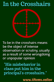 In The Crosshairs Idiom Meaning Idioms And Phrases Advanced English Vocabulary New Words