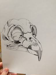 Bird Skull Drawing Done In Ink Pen Animal Skull Drawing Black Ink Art Skull Art Drawing