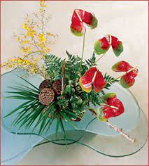Tropical Anthuriums Oncidium Orchids Anthurium Flower Anthurium