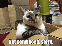 Sorry Lolcats Lol Cat Memes Funny Cats Funny Cat Pictures With Words On Them Funny Pictures Lol Cat Memes Lol Cats