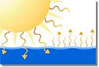 Check spelling or type a new query. Evaporacion Vikidia