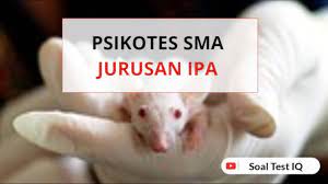 Contoh soal psikotes sma jurusan ipa dan jawabannya. Psikotes Sma Jurusan Ipa Dan Jawabannya Lengkap Youtube