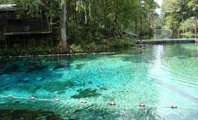 Fanning springs state park is a florida state park, located on us 19/98 in the town of fanning springs. Fanning Springs State Park Florida Springs Florida Travel Florida Adventures