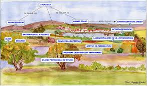La localidad, de acuerdo a la costumbre o a las leyes de cada estado, puede tener títulos como ciudad, villa, pueblo, ranchería, congregación o incluso ejido; Localidad