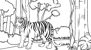 Wild animal coloring page, mountain goat coloring page sheets. Express Your Love For Nature With Wild Animal Coloring Pages In 2021 Coloring Pages