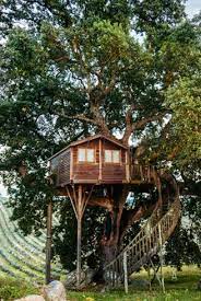 Going back to the cabin in the trees, going back to the creek beneath the hill. 33 Amazing Treehouses You Can Rent In 2021 Best Tree House Vacations