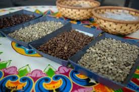Best costa rican coffee brands. Costa Rican Coffee Best Brands Tours History And More