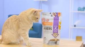 I had to mix it with their regular. Instinct Raw Boost Mixers For Cats Chewy Youtube