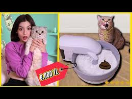 Kedim Nasil Hastalandi Iyilesme Sureci Nasil Balkondan Dustu Kediyle Yasam Life With The Cat Youtube