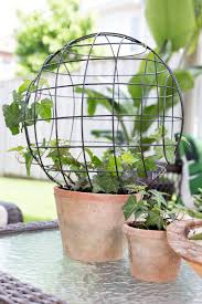 Hi There My Friends It S Sunday So That Means It Is Time For What S New In Fixer Upper Farmhouse Home Decor And We Topiary Diy Indoor Topiary Outdoor Topiary