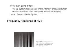 Chapter 2 Digital Image Fundamentals 2 1 Human Visual System Purpose Of Study Improvement Of Images For Use By A Human Observer 1 Physical Structure Ppt Download