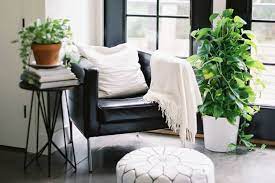 Put some water into the bottle and then add some drops of oil. 10 Easy Ways To Cleanse Your Home Of Negative Energy