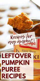 What To Do With Leftover Pumpkin Puree Baking Mischief Pumpkin Puree Recipes Leftover Pumpkin Pumpkin Puree