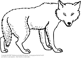 Wolf ausmalbilder with images pencil drawings of ausmalbilder wolf zum ausdrucken 1ausmalbilder com with images ausmalbilder wolf zum ausdrucken 1ausmalbilder com ausmalen ausmalbild wolf ausmalbilder kostenlos zum ausdrucken. 32 Wolf Bilder Zum Ausdrucken Besten Bilder Von Ausmalbilder