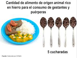 Cantidad A Consumir De Alimentos De Origen Animal Ricos En Hierro Anemia