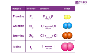 Halogen compounds are potent oxidizers of mercury, stabilizing the hg(ii) created by forming halogen complexes. Halogens Physical Chemical Properties Of Halogens