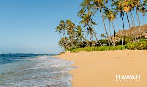 Convert gifs into zoom backgrounds. These HawaiÊ»i Zoom Backgrounds Will Make You Feel Like You Re Working On Vacation Hawaii Magazine
