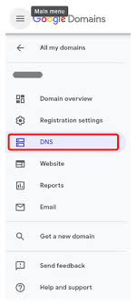 Linking Your Custom Domain In Google Domains To Your Minecraft Server Stickypiston Hosting