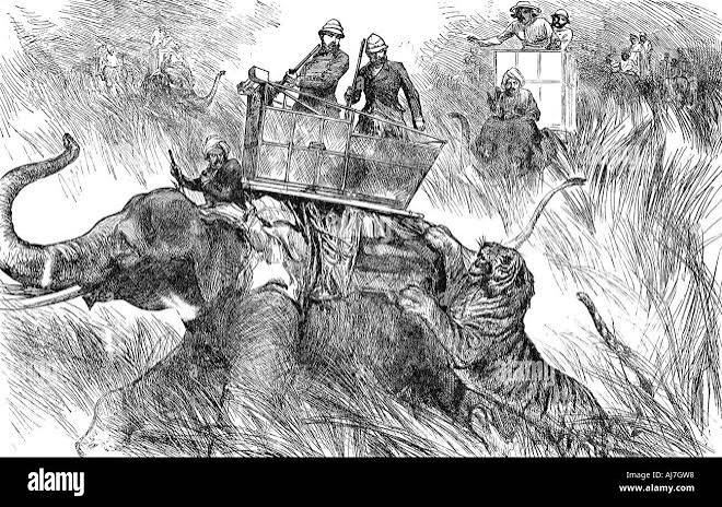 Edward, Prince of Wales, hunting tiger during his state visit to India in 1876. Artist: Unknown Stock Photo - Alamy