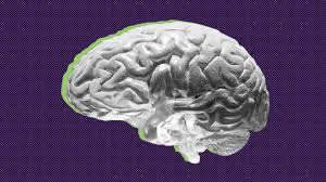 It was developed by biogen inc., which licensed the drug candidate from neurimmune, its discoverer. Biogen Alzheimer S Drug 5 Things To Know About Aducanumab