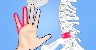 3)amorteli,furnicaturi sau dureri in degete,mana sau articulatia pumnului. Vocea Biz Amortirea Mainilor Un Semnal Ca Trebuie Sa Mergeti Direct La Medic Vocea Biz